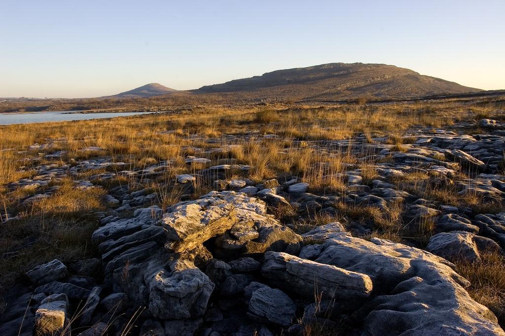 Wild Honey Inn Lisdoonvarna Exteriör bild