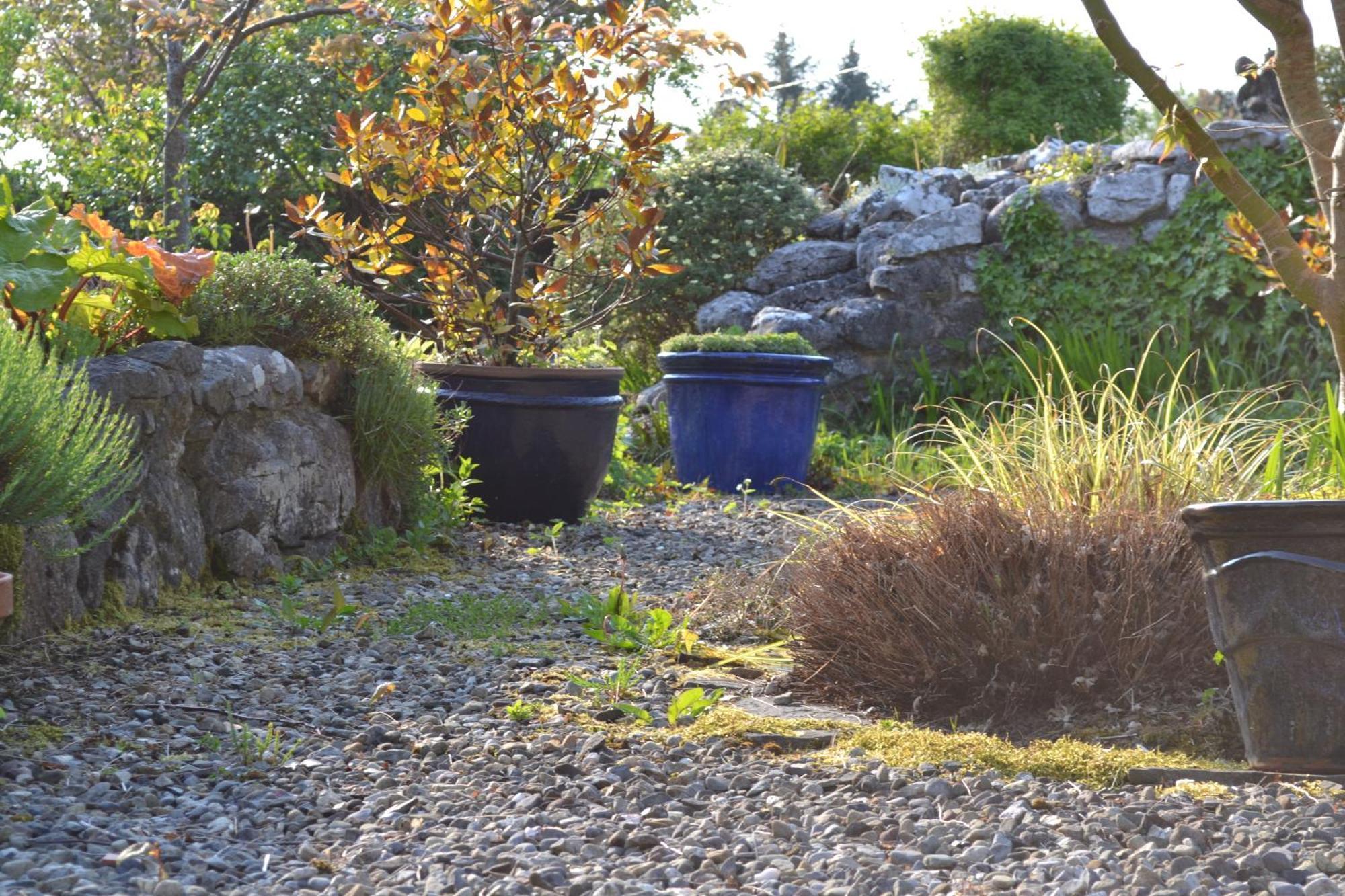Wild Honey Inn Lisdoonvarna Exteriör bild