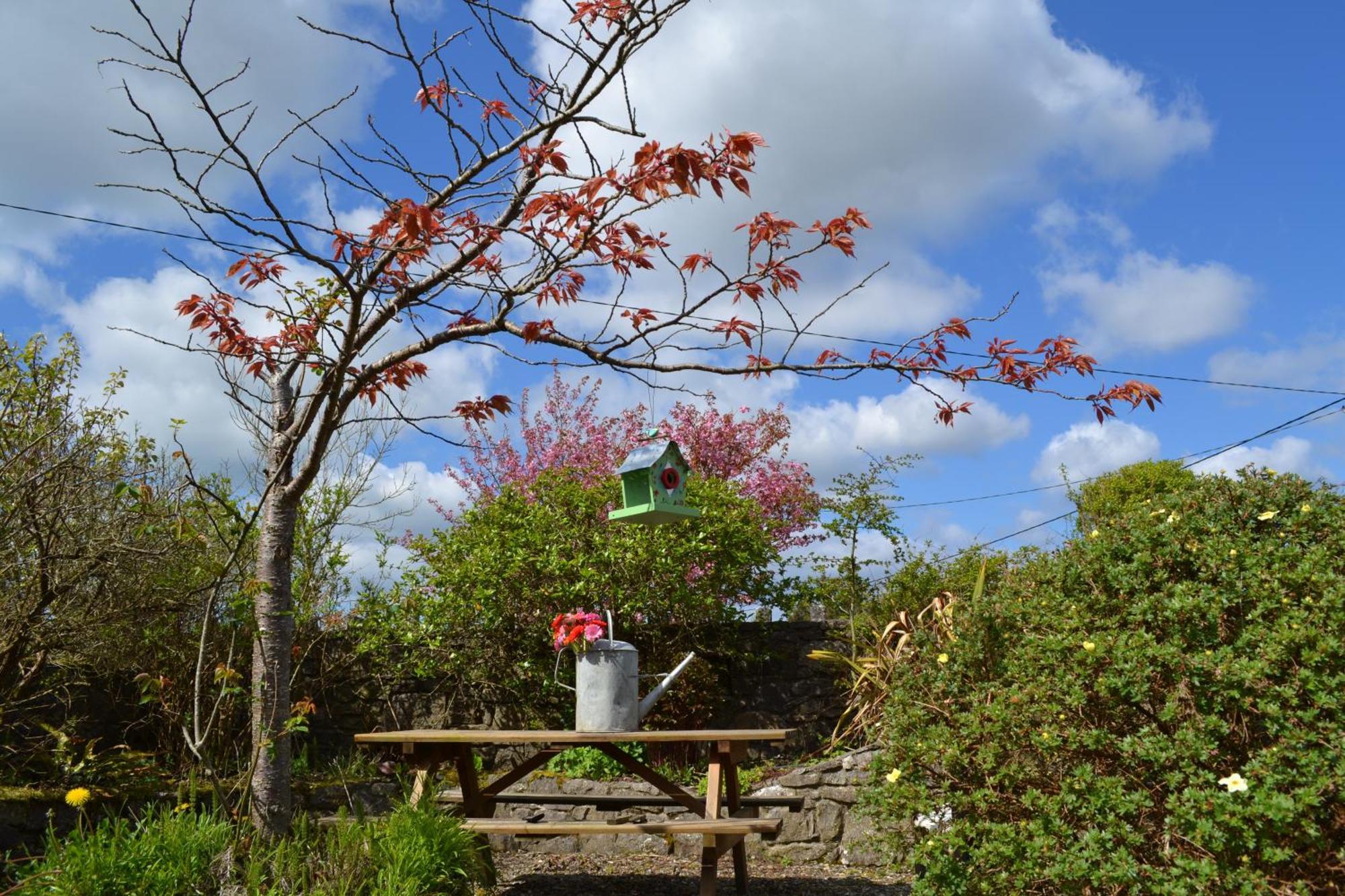 Wild Honey Inn Lisdoonvarna Exteriör bild