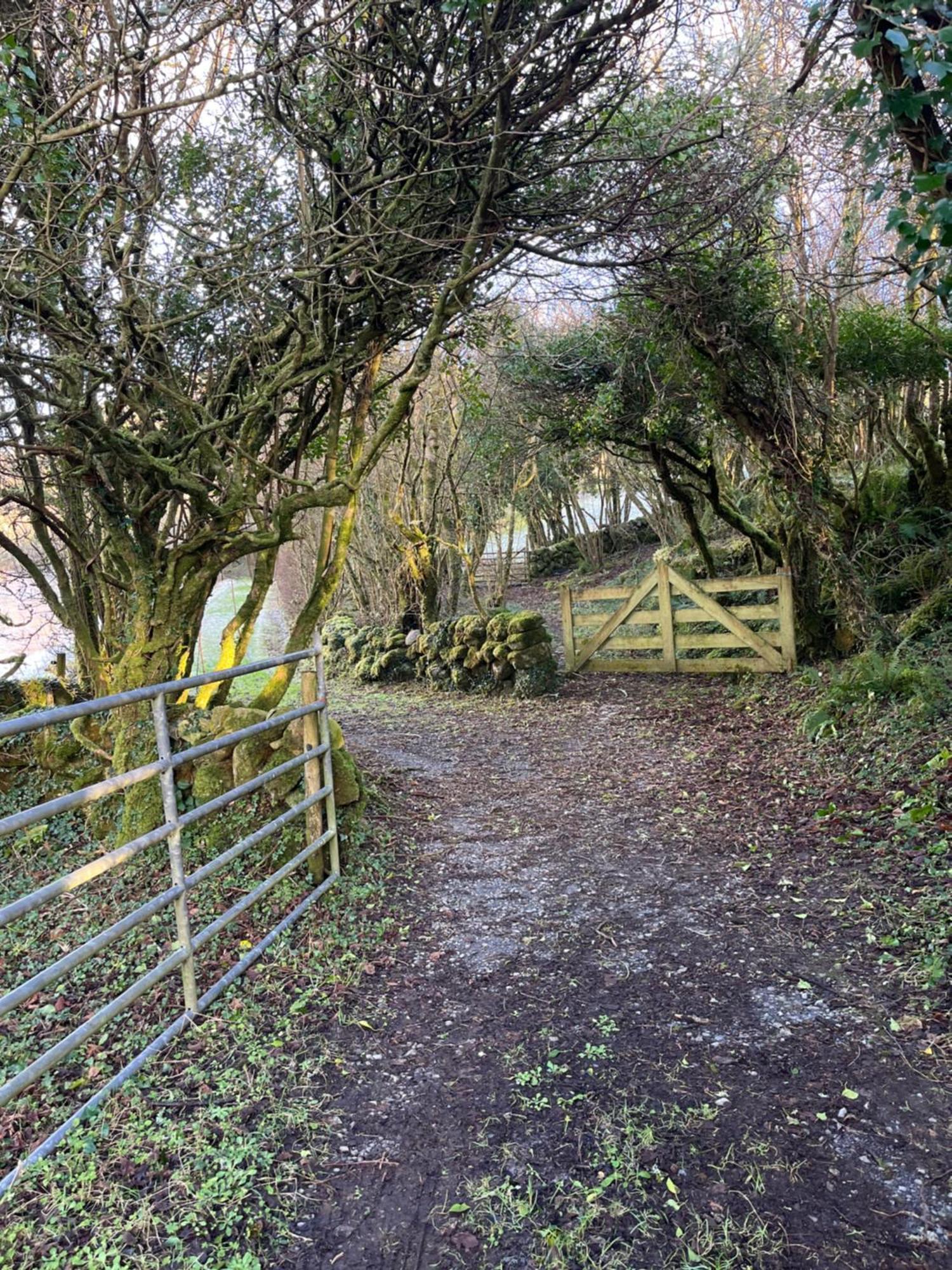 Wild Honey Inn Lisdoonvarna Exteriör bild